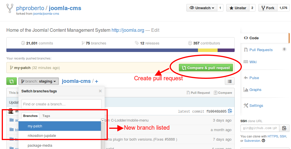 Create pull request 